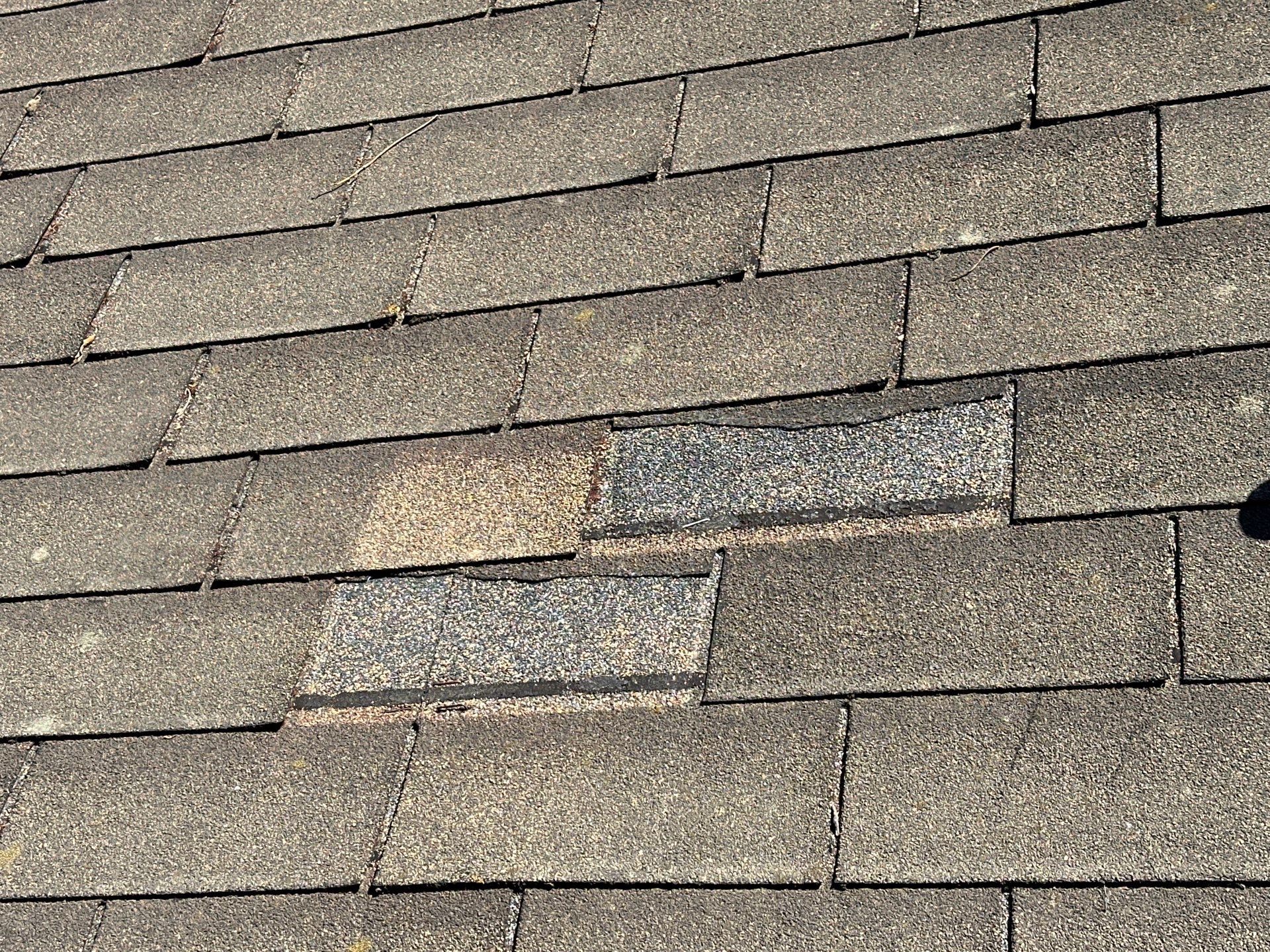 Insurance claim roof project photo