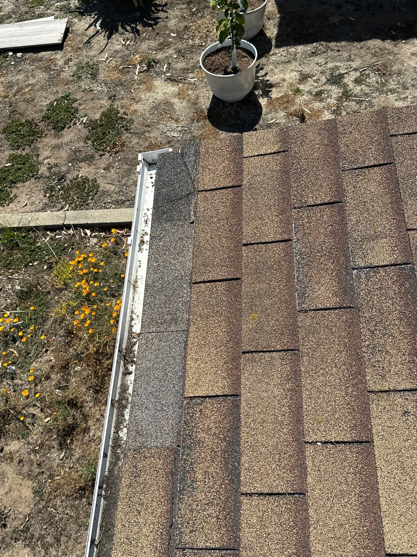 Missing shingles exposing roof underlayment